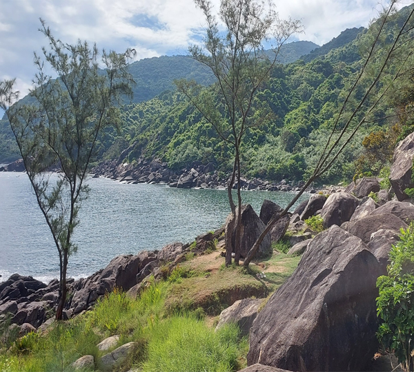Monkey Mountain Cycling Tour Da Nang